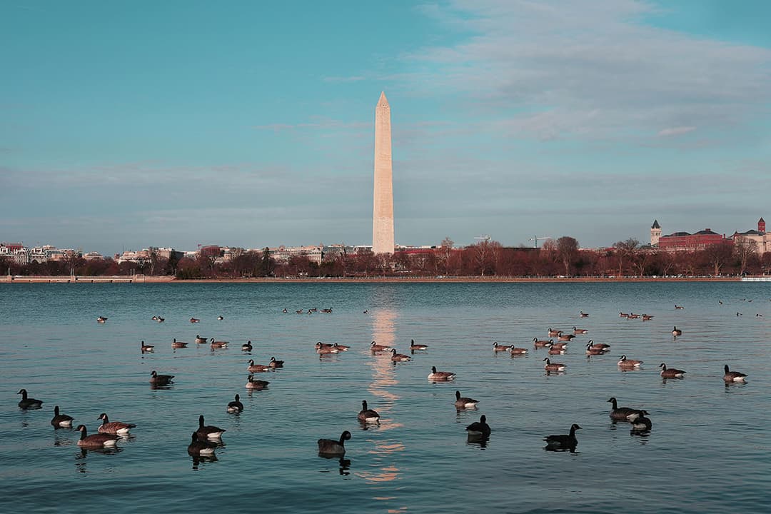 Washington, United States